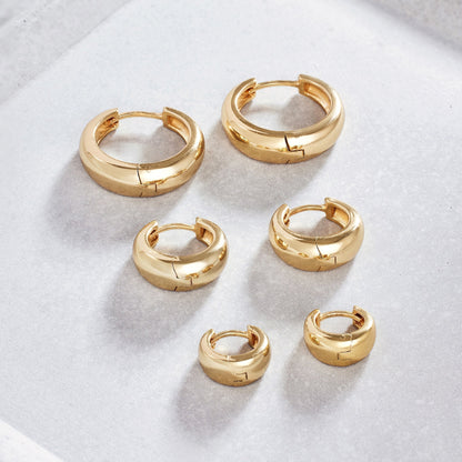 Alejandra | Aretes de aro gruesos mini